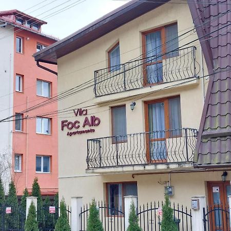 Vila Foc Alb Apartamente-บุชเตนี ภายนอก รูปภาพ