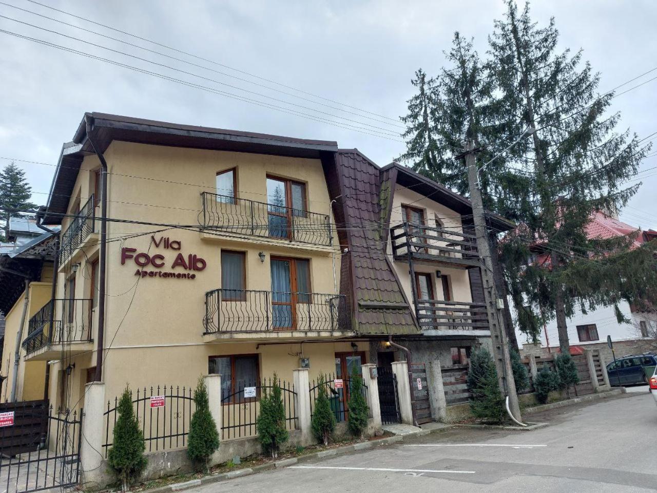 Vila Foc Alb Apartamente-บุชเตนี ภายนอก รูปภาพ