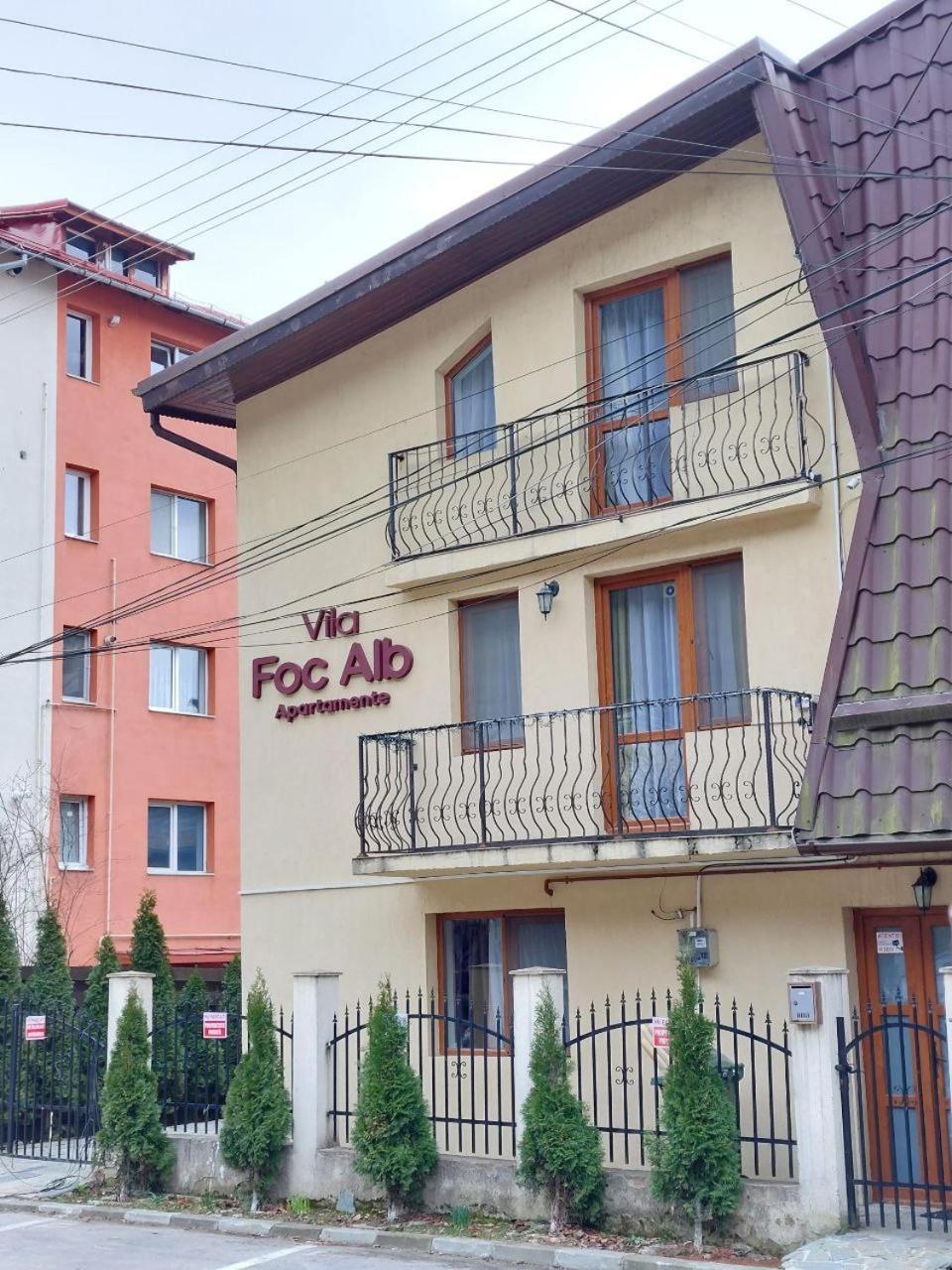Vila Foc Alb Apartamente-บุชเตนี ภายนอก รูปภาพ
